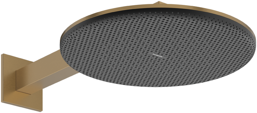 Верхний душ hansgrohe Raindance Alive S 300 2jet с кронштейном 24540140 шлифованная бронза 205600₽